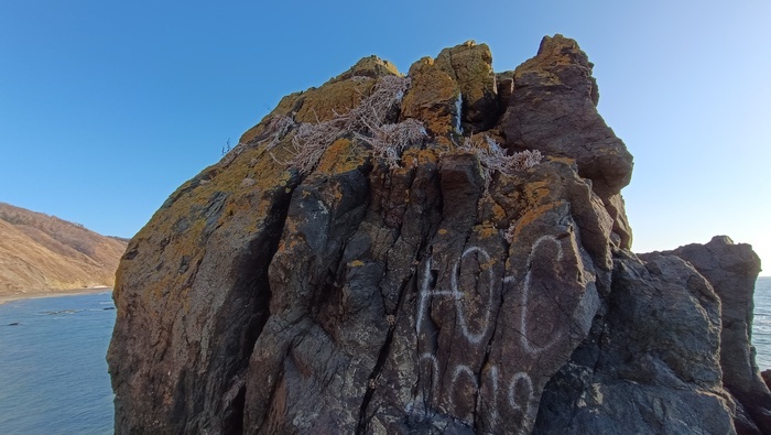 -  -  2019   .      .