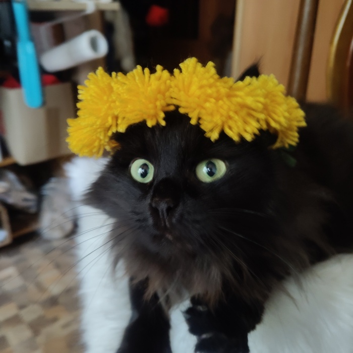   "  "   ,  , , , ,  , ,  ,  , 