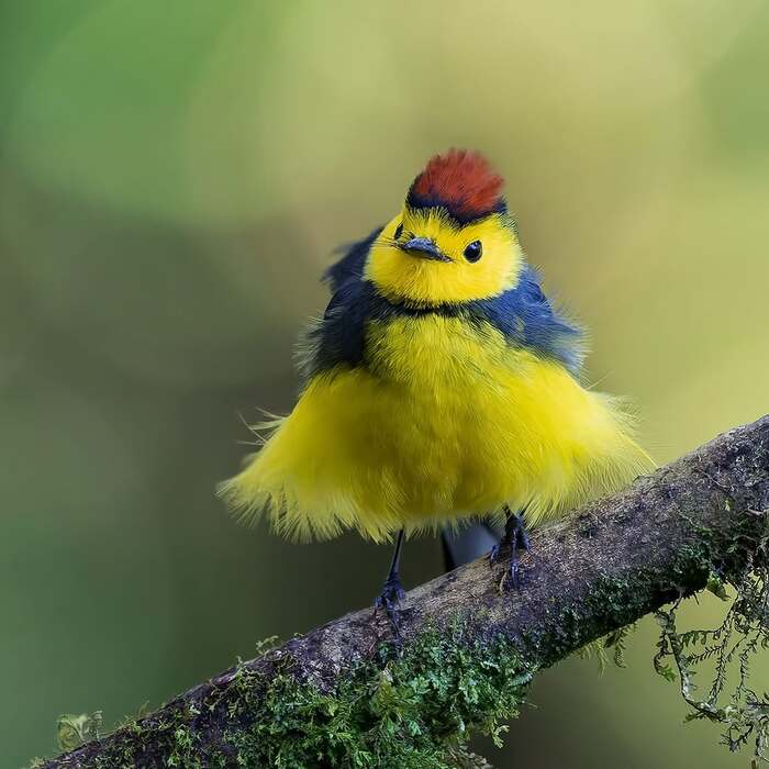    , ,  ,  ,  , 
