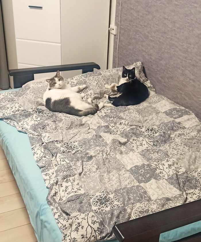 Чего смотришь?! На пол ложись!