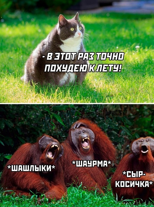  , , , ,  ,   
