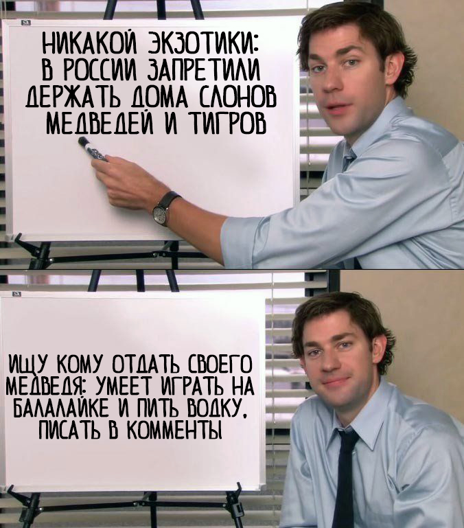 7svvlsxr.jpg