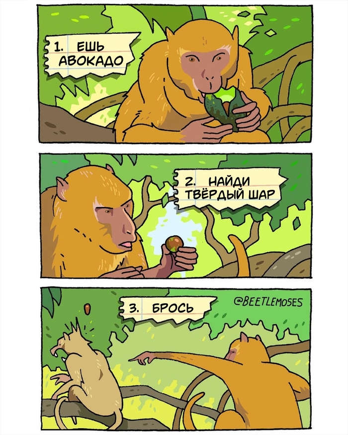    , , , , , , Beetlemoses