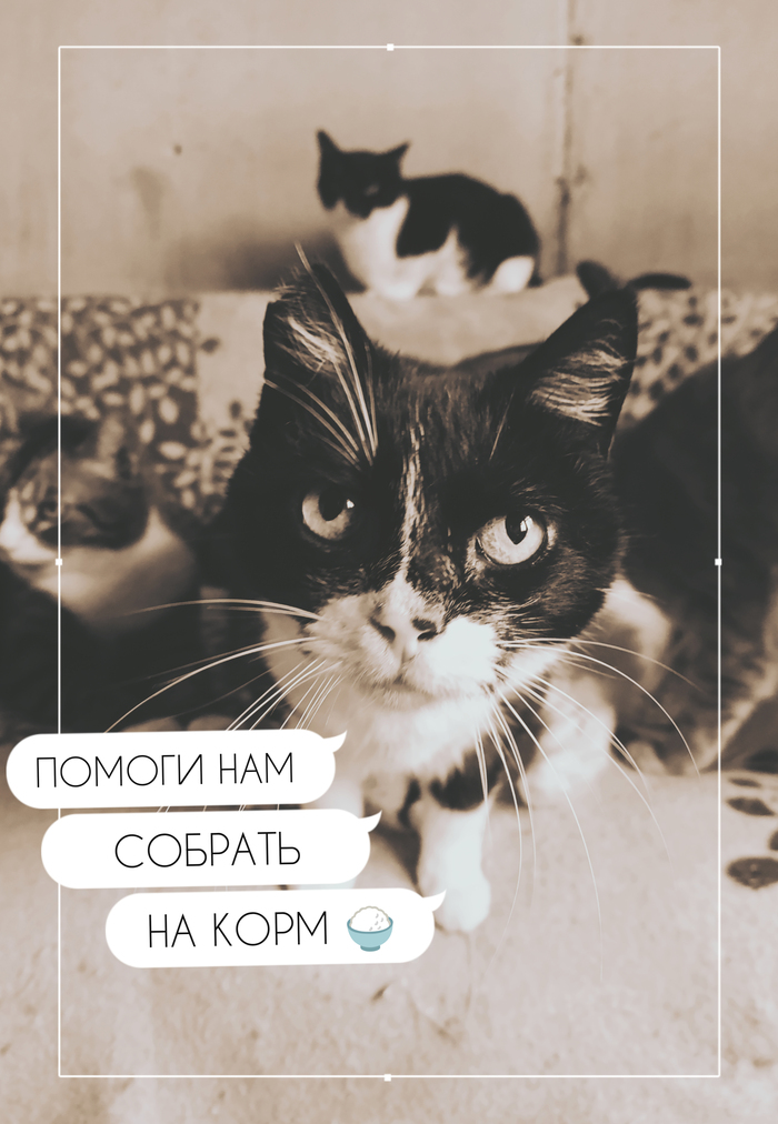      , , ,  ,   ,  , ,  ,   ,  