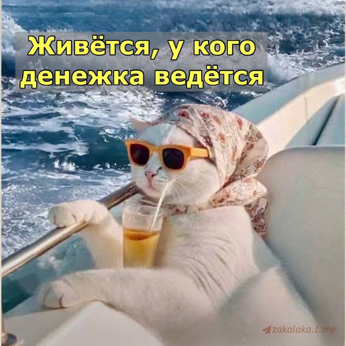    , ,  (), , ,  ,  , ,  ,  ,   