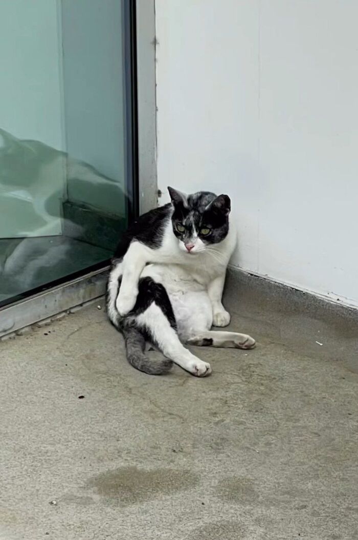   , , ,  , ,  , , , ,  