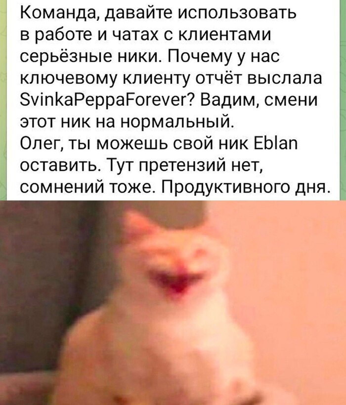  , , , ,  , 