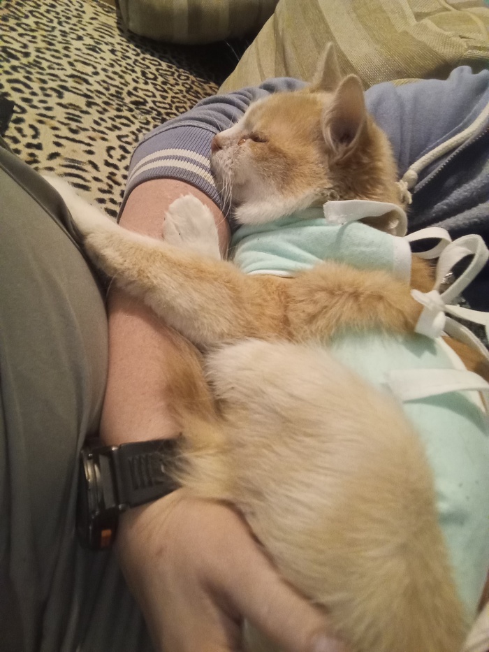 Стерилизация