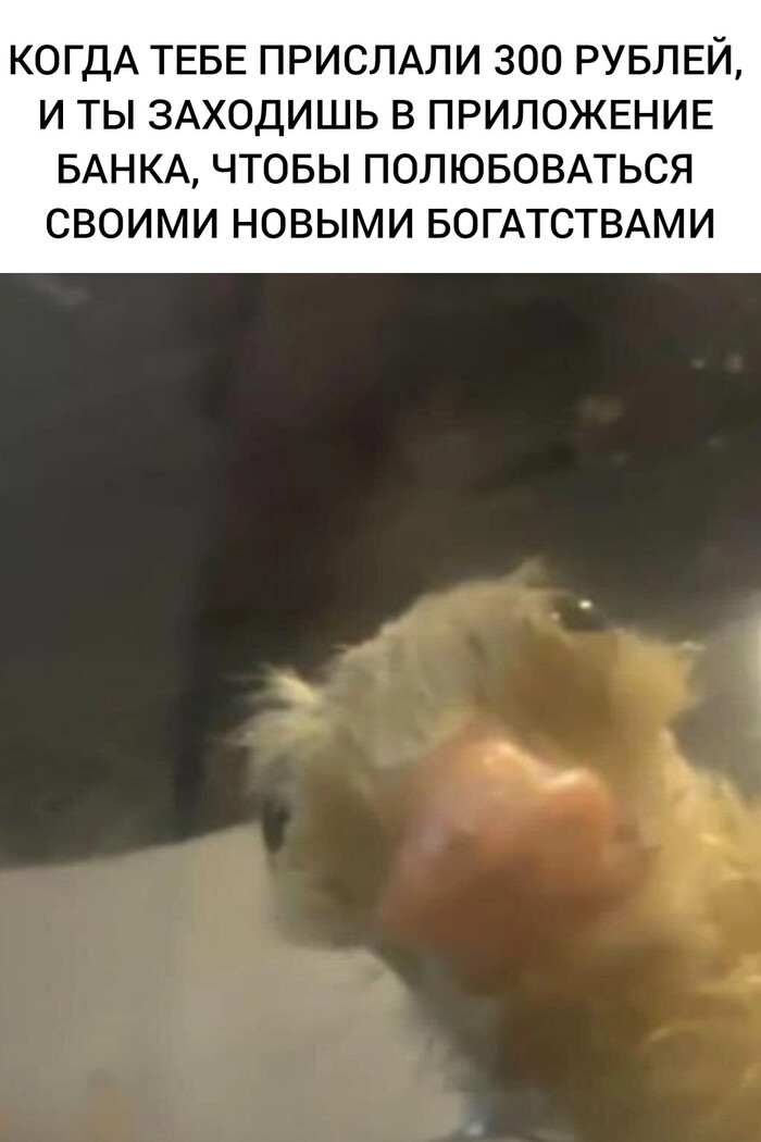  , ,   