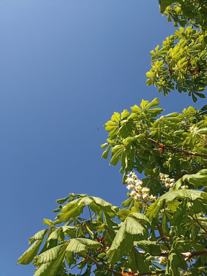 Доброе утро