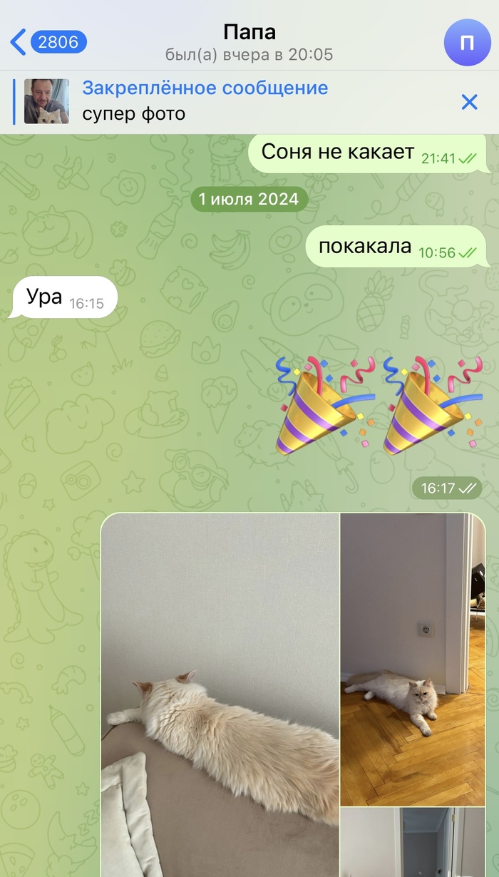 Последний скрин - я забирала Соню к себе на время отпуска родителей )