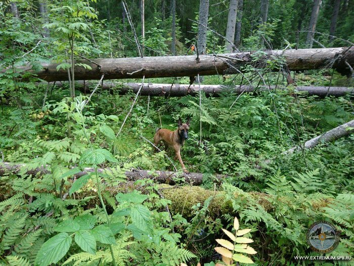  ...   .      ,  -   .   -, -...