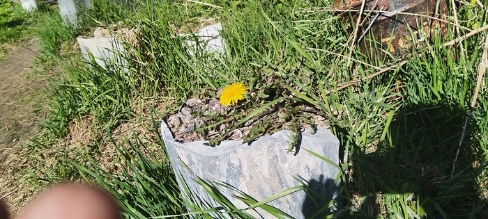 Везде прогнали.. Хоть тут поживу