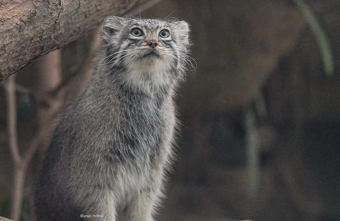 Что-то интересное увидела