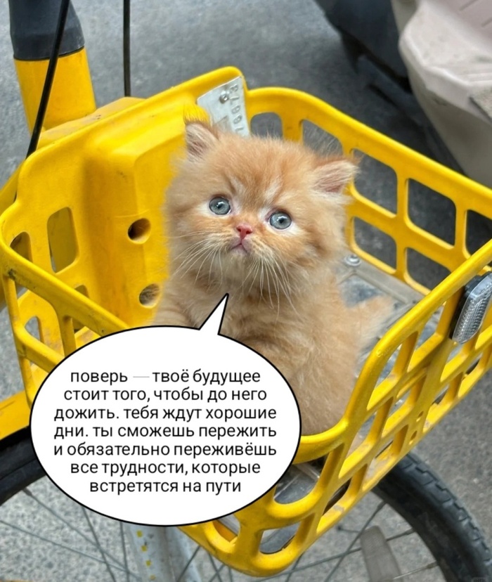   .      , , , , , 