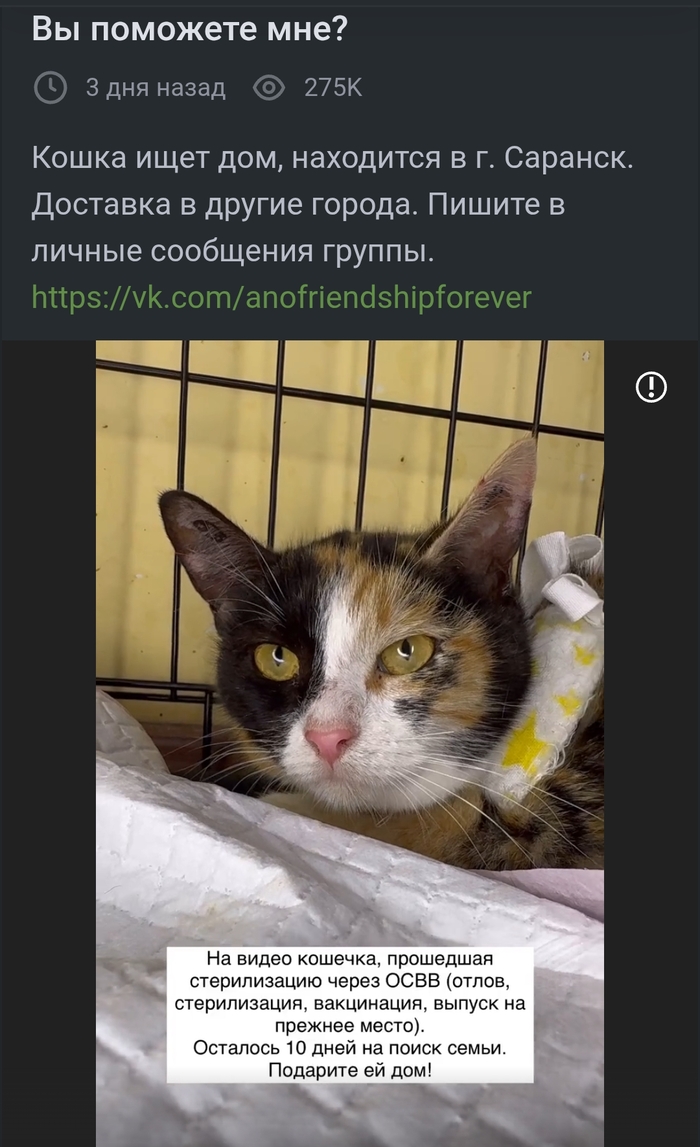         , ,  ,   , , , , 