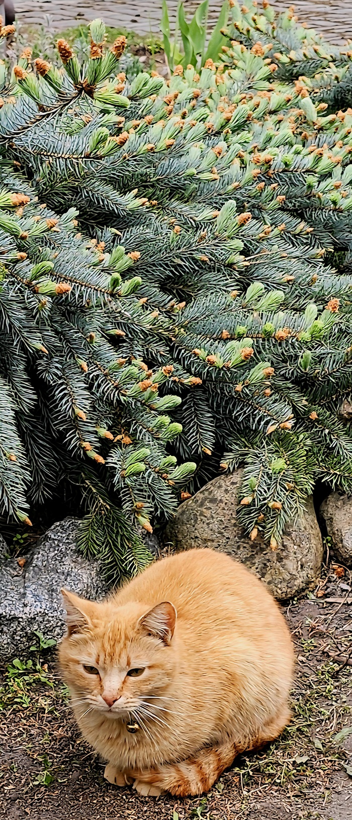 �����. ������. � ������