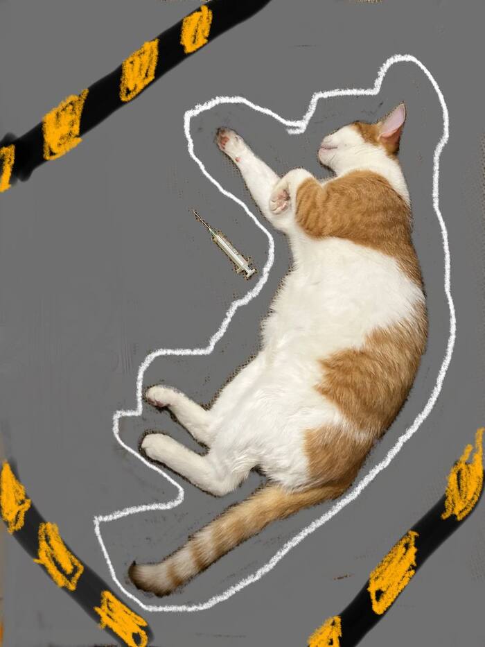  , , , , 