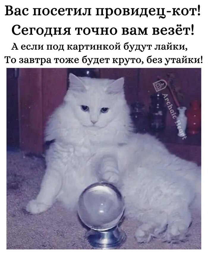��������-���