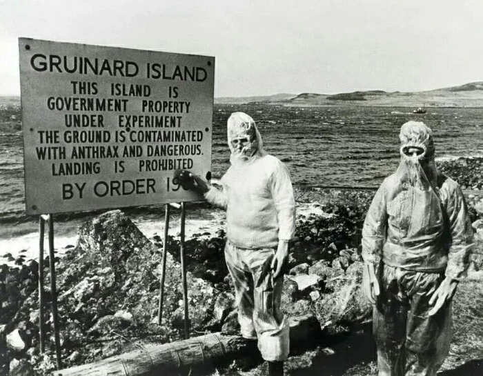 6 dangerous islands, visiting which can cost not only nerves, but also lives - My, Informative, Creatures, Rare view, Nauchpop, Facts, Country, Geography, USA, Planet Earth, Around the world, Island, Sea, Biology, Amazing, Longpost, Series Cognitive