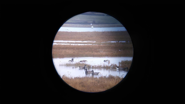 Обманчивый "Юпитер" снимок нашей планеты.