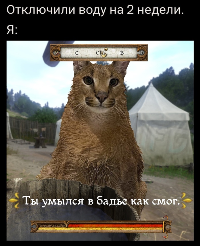   , , Kingdom Come: Deliverance, Kingdom Come: Deliverance II,  , ,   