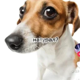 user10734057