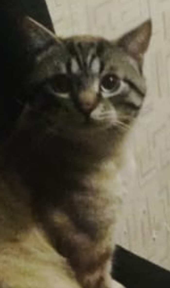       , ,  