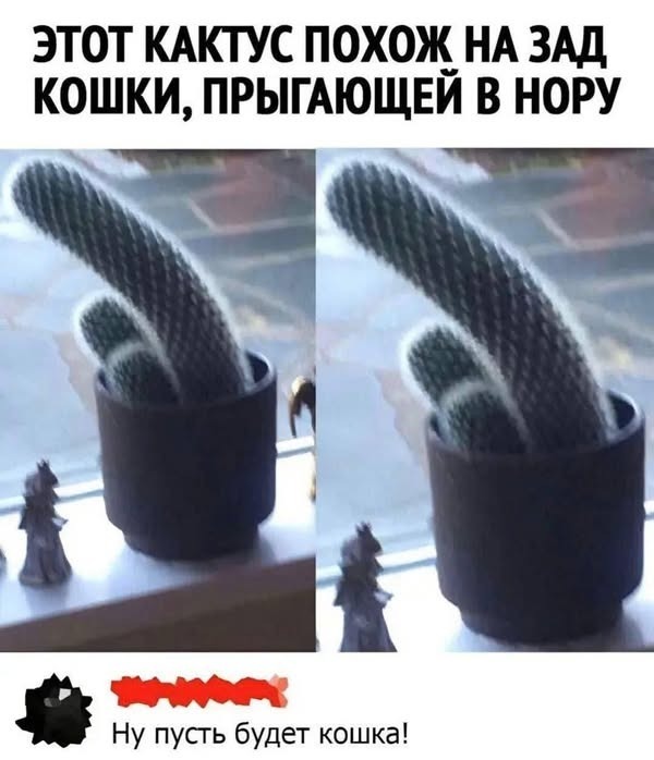     , , , , , , , 