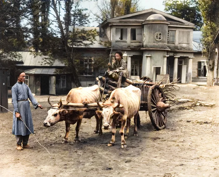 Подборка интересных и необычных фотографий Российской Империи. 20 раскрашенных фотографий. Часть XIII Историческое фото, 20 век, Старое фото, 19 век, Российская империя, История России, Фотография, Колоризация, Длиннопост