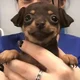 ����� ����� ������ ���� �����������