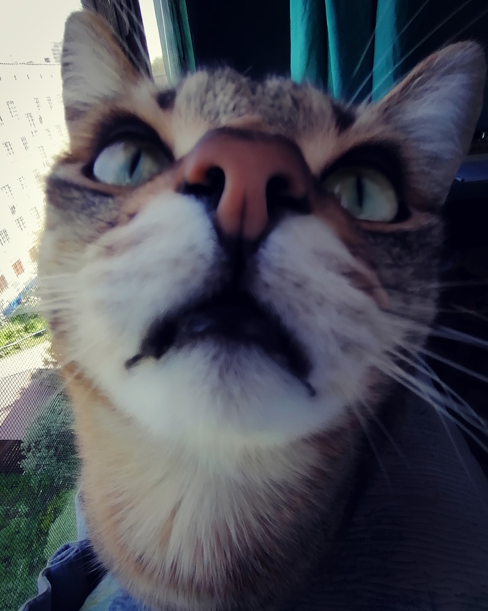   ,  , , , , 