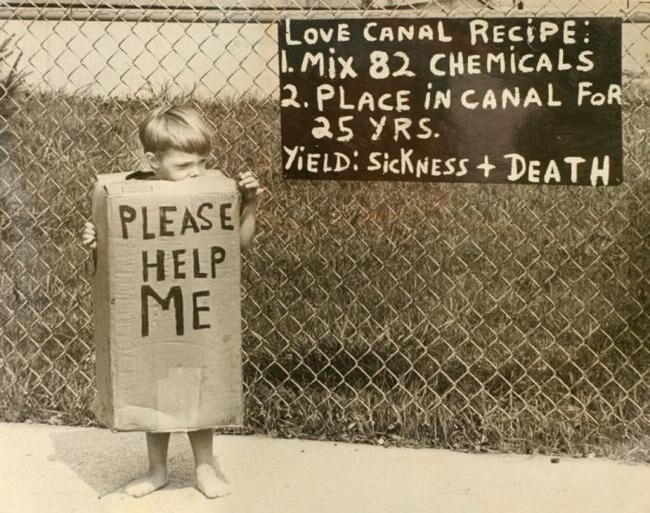 lgmfklvz.jpg