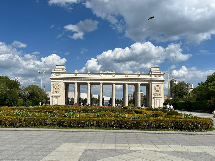 Летящий воробей, похожий на воблу, попал в кадр