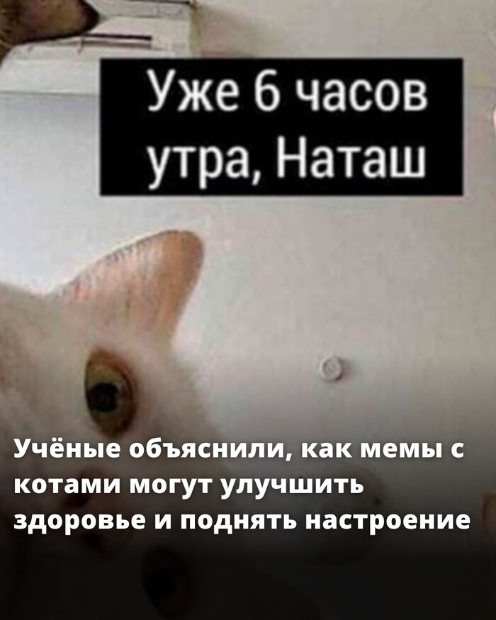  ,            DeepSeek, ,  , , , , , ChatGPT, 