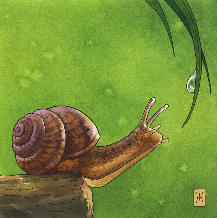 ������. ��������, ������ 21�21��, ������. ��� 2025�