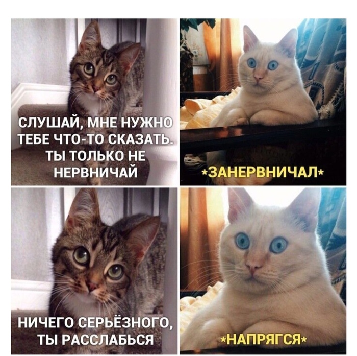 )