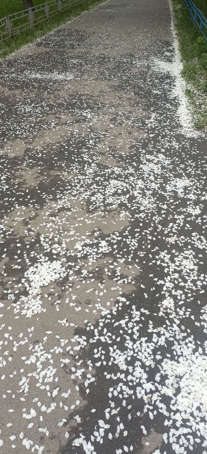 Малоснежная уральская весна