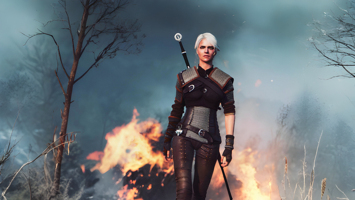  The Witcher IV     , , , Cd projekt Red, CD Projekt, , RUTUBE, 
