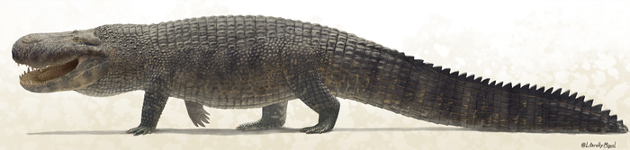        1-2   6-40 ,        -   ,   10-12 ,   -  6-8 .