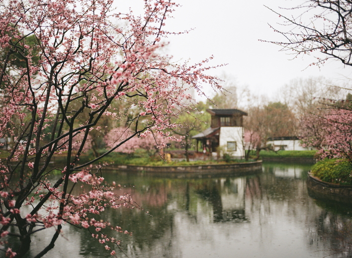 Весна! 55/2.8, Kodak Gold 200