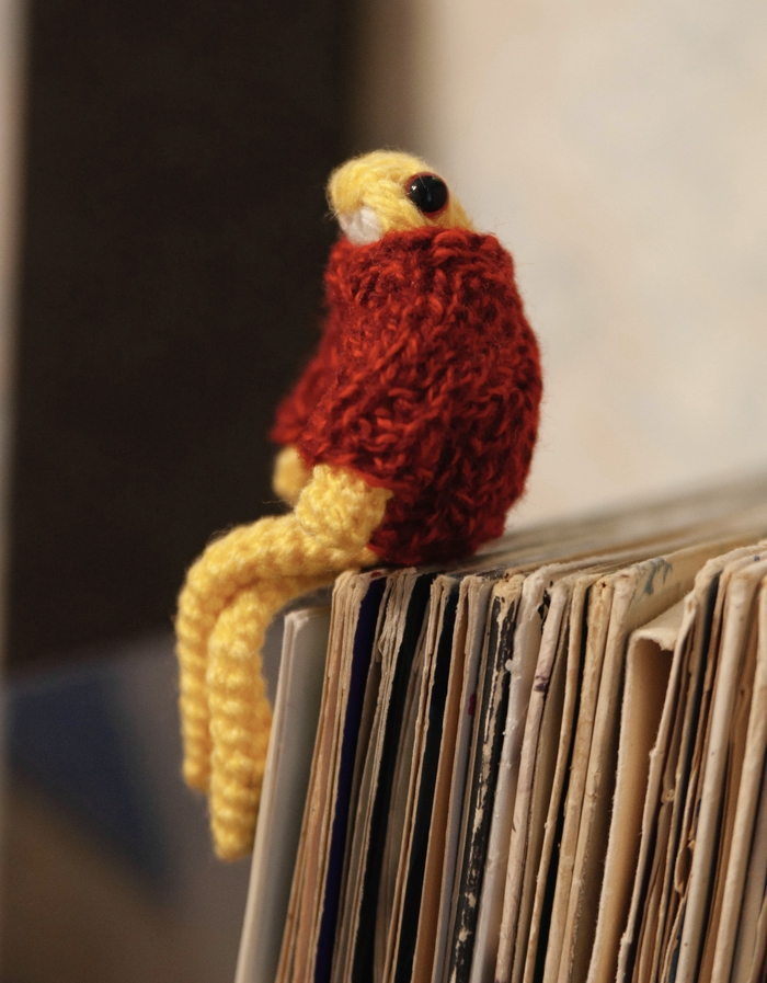 Жабий день настал