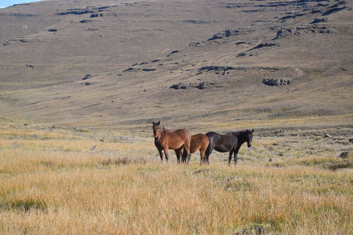 ���. 10. �������� ������� � ������