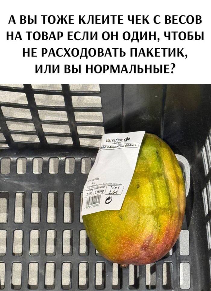         ,   , , , , , Telegram ()
