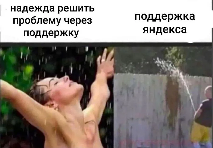 hvfflg4h.webp