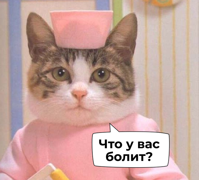   :         , , , Telegram (),  