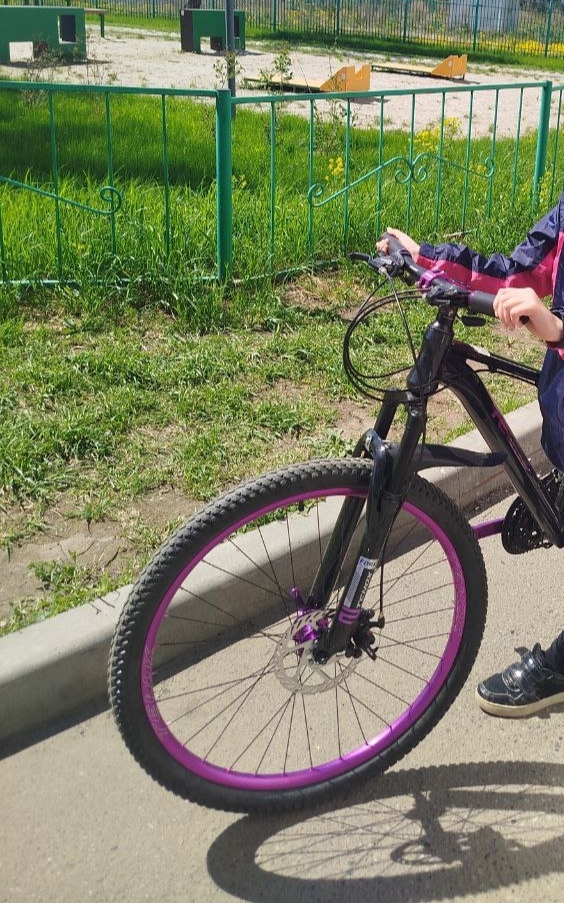 Томск. Украли велик у дочери