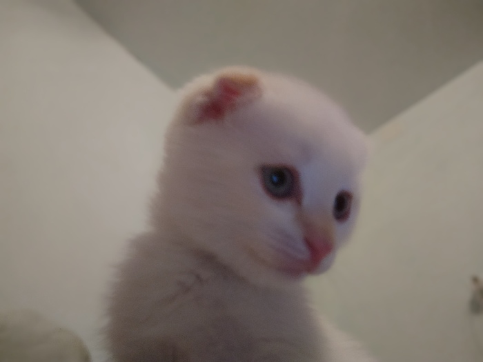  ! , , -, 