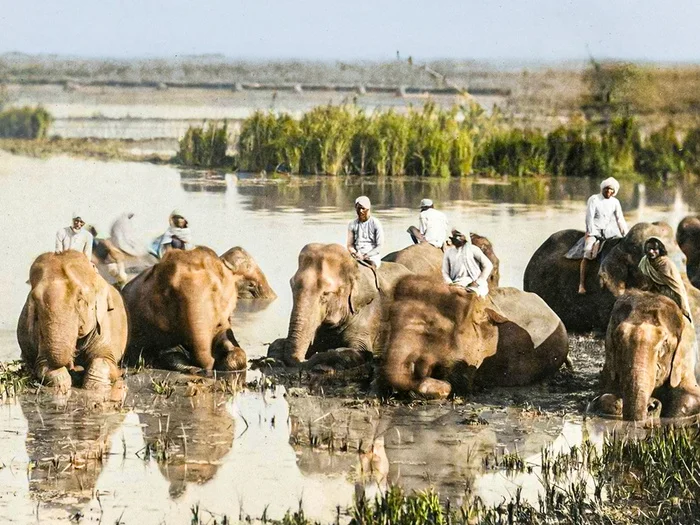 Уникальные исторические кадры, которые перенесут вас в прошлое. 20 раскрашенных фотографий из ХIX века. Часть VII Историческое фото, Старое фото, 19 век, Фотография, Колоризация, Длиннопост