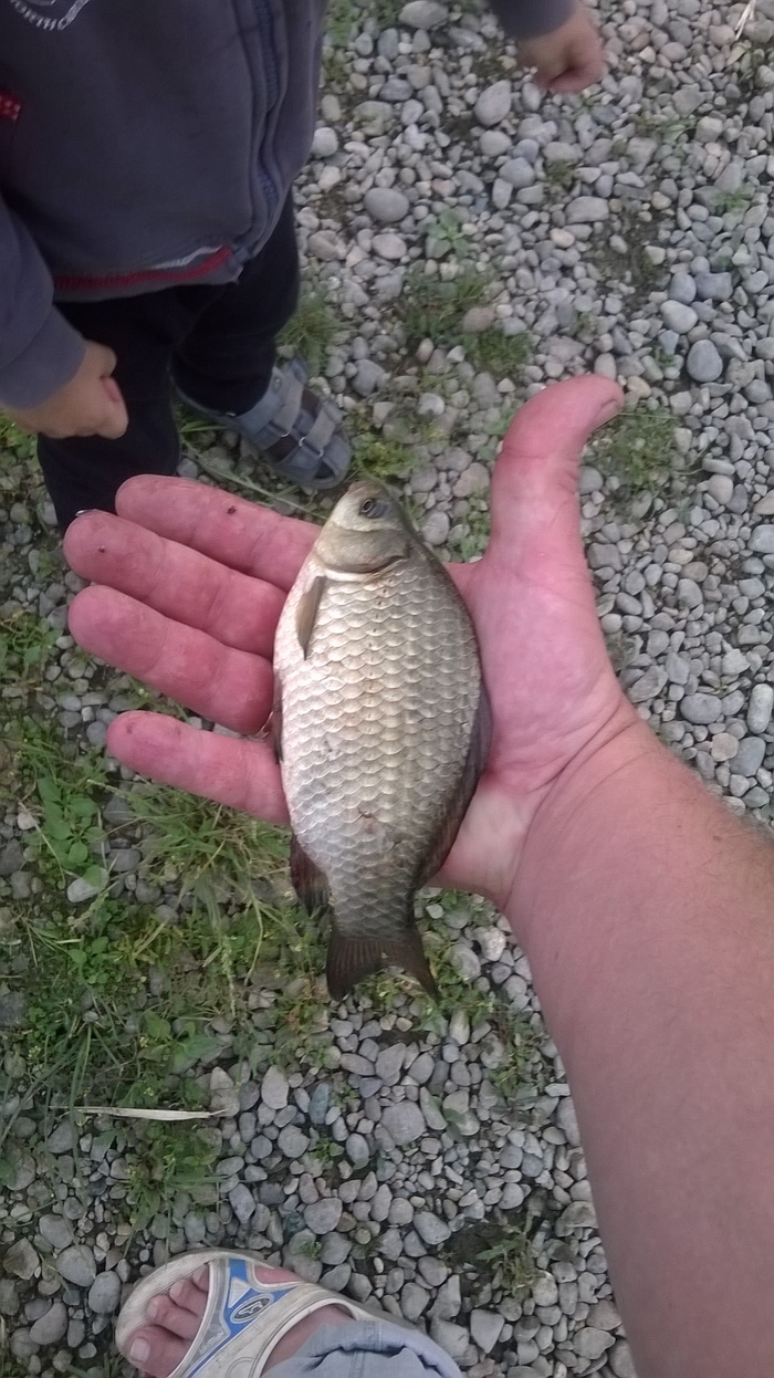 ��������� �������������, ����